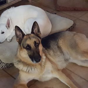 Meet your Posher, Fred